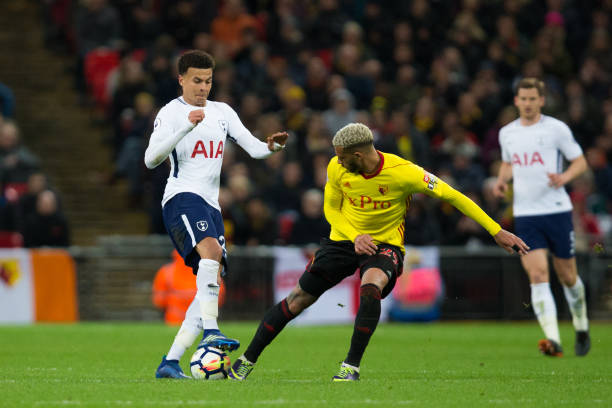 为他的职业 为他的职业