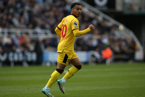 使尼克斯无 使尼克斯无